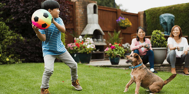 Why You Should Hire a Pet Waste Removal Company