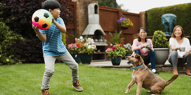 Why You Should Hire a Pet Waste Removal Company