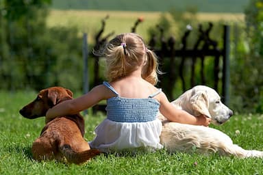 Dogs and Kids and How to Get Them to Like Each Other